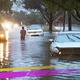 Image for article titled A Giant Hurricane Washed Away All My Cars! What Should I Buy?